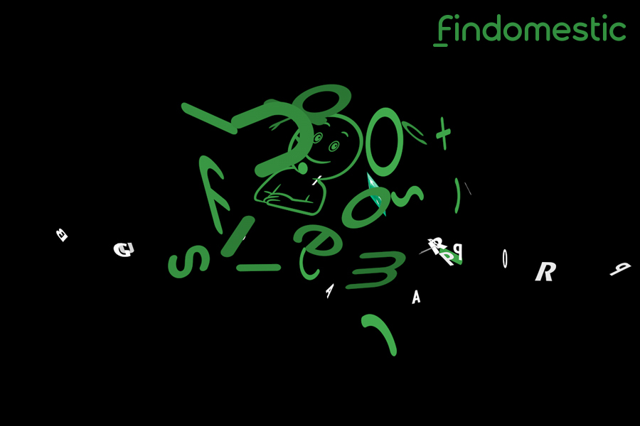 Findomestic
